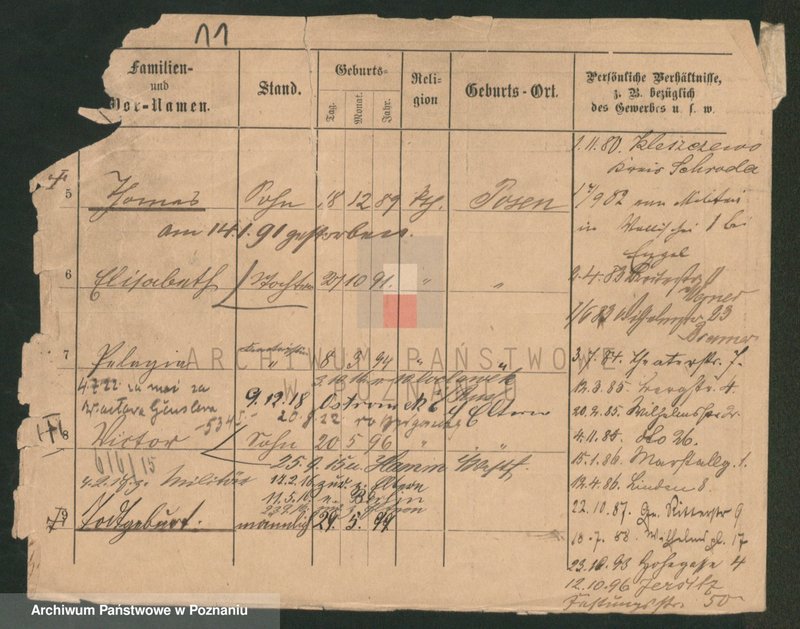 Obraz 11 z jednostki "Owczarzak - Ożyński"