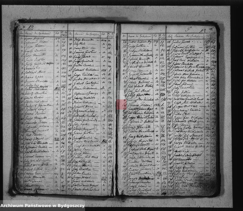 Obraz 9 z jednostki "Sumariusz urodzeń"