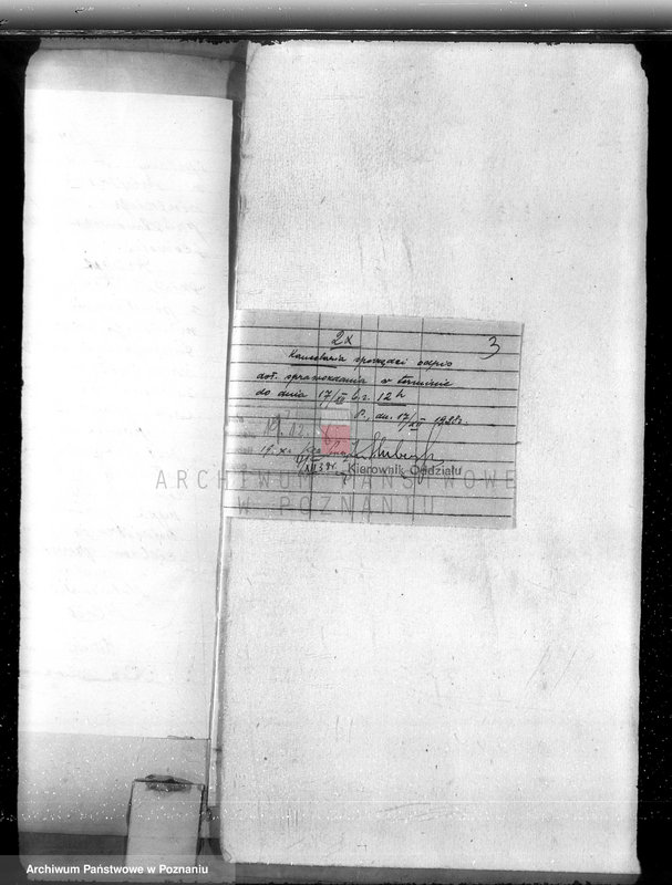 Obraz 7 z jednostki "Majętność Biskupiec powiat koniński /sprawa ustalenia granicy lasu/"