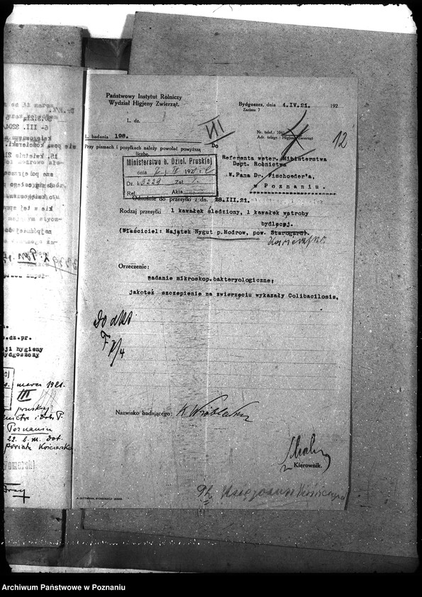 Obraz 16 z jednostki "Księgosusz - Kościerzyna"