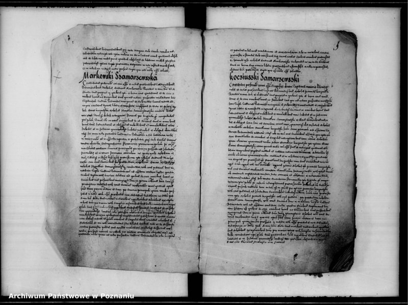 Obraz 10 z jednostki "Inscriptiones, relationes [inducta]"