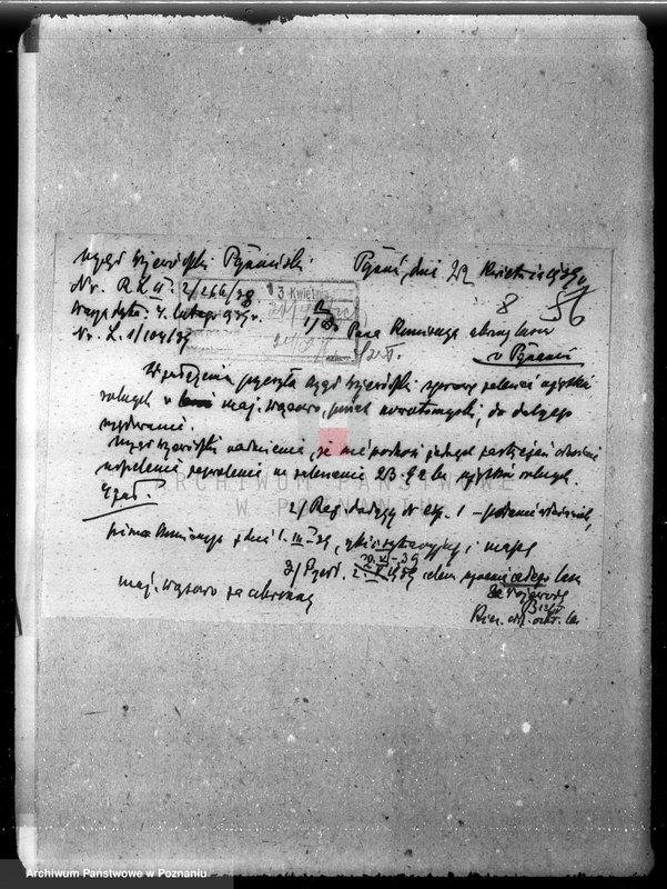 Obraz 13 z jednostki "/Majętność leśna Wąsowo w powiecie nowotomyskim/"