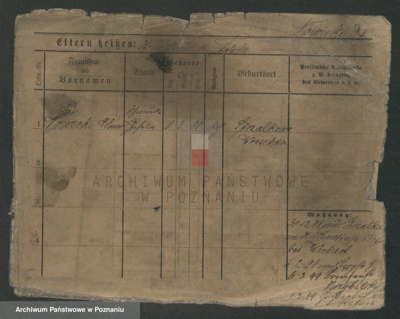 Obraz 4 z jednostki "Nowicki (samotni mężczyźni)"