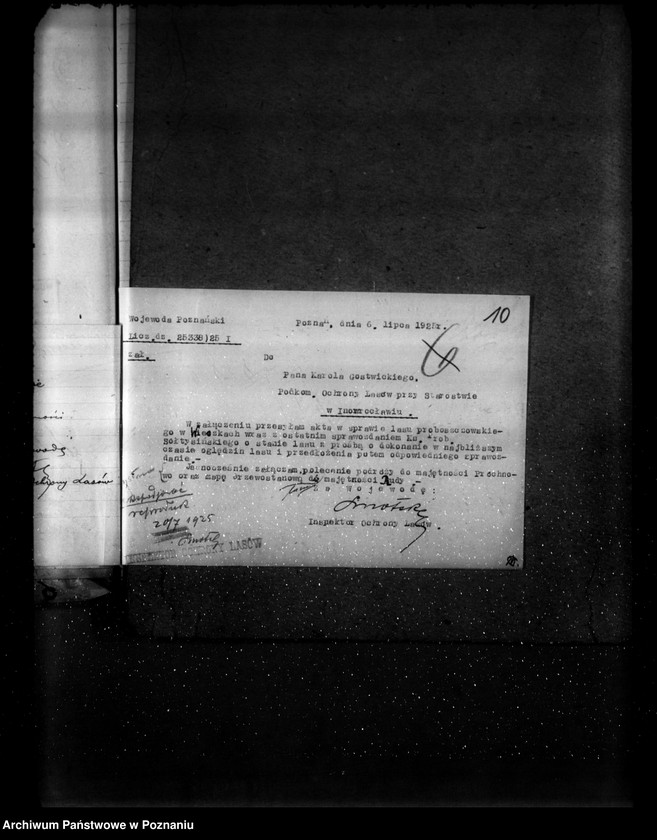 Obraz 14 z jednostki "Gospodarka leśna kościoła katolickiego Wieszki powiat szubiński"