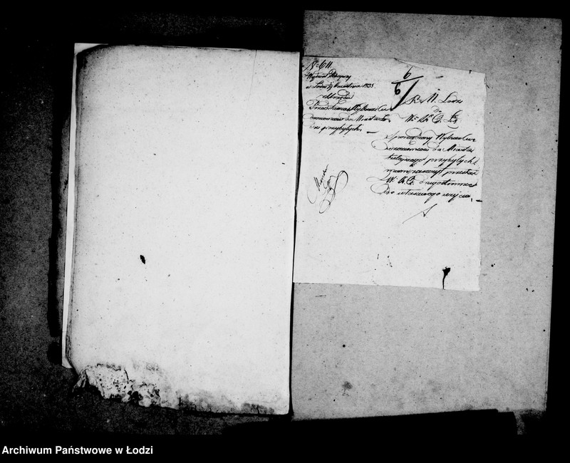 Obraz 11 z jednostki "Akta tyczące się zdawania rapportów o przybywających do miasta tutejszego cudzoziemcach"