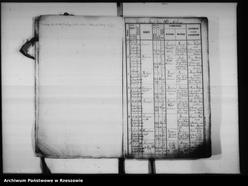 image.from.unit "Księga urodzeń - Lubenia"