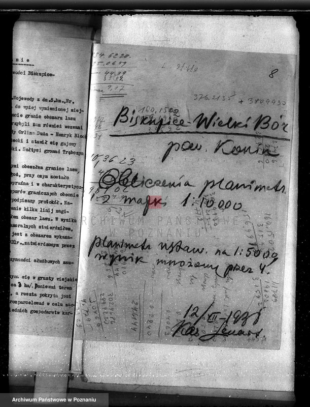 Obraz 12 z jednostki "Majętność Biskupiec powiat koniński /sprawa ustalenia granicy lasu/"