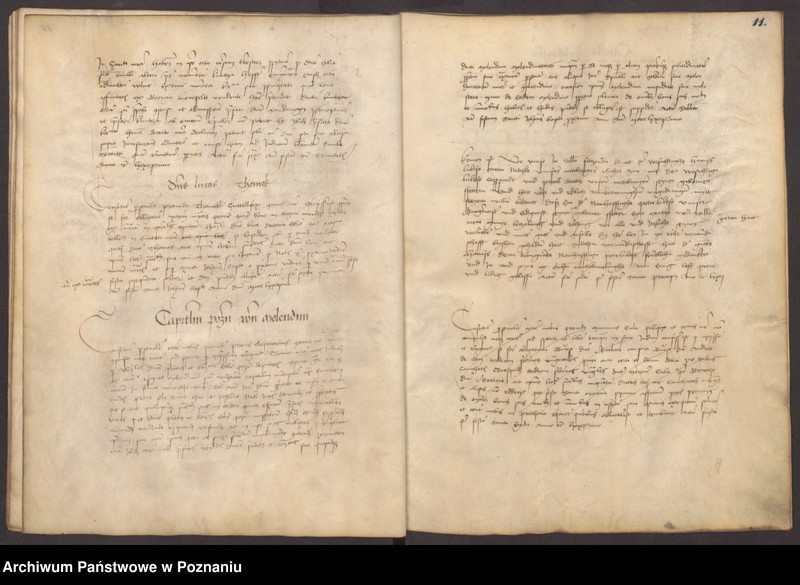 Obraz 14 z jednostki "Liber actuum et mandatuum ...consulum Liber ab anno 70 ad 94-tum."