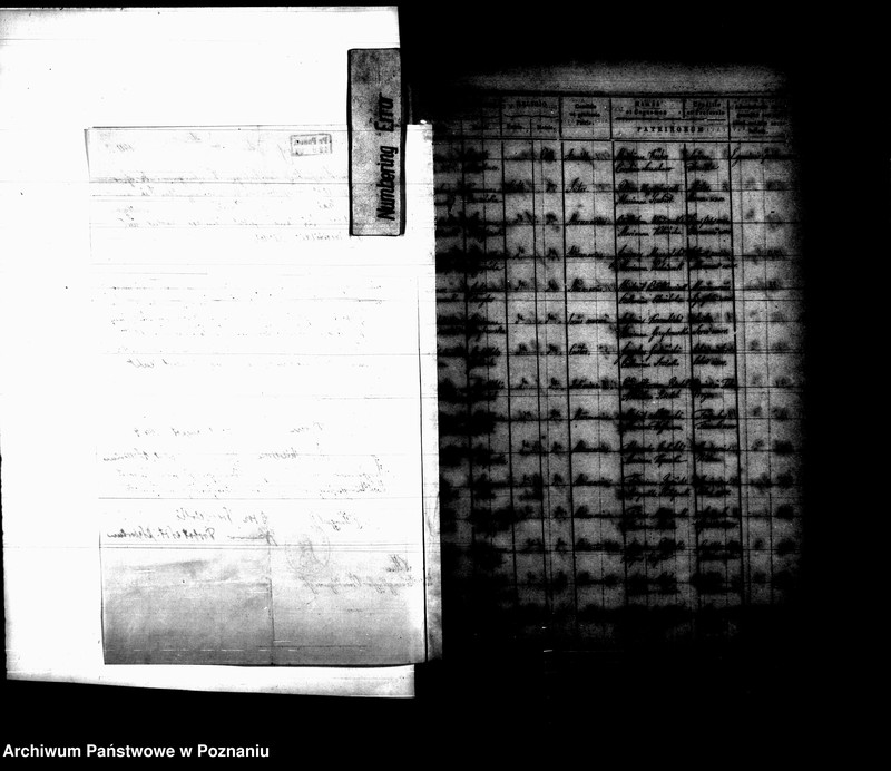 Obraz 13 z jednostki "Księga urodzin"