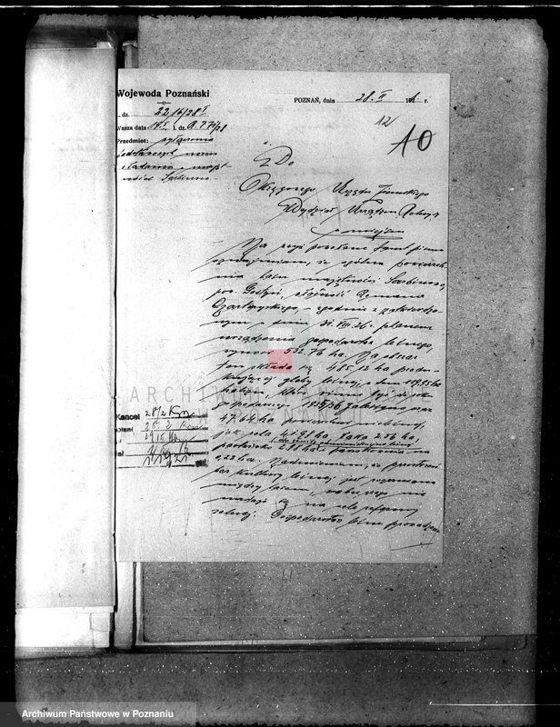 Obraz 15 z jednostki "Majętność leśna Sarbinowo w powiecie gostyńskim"