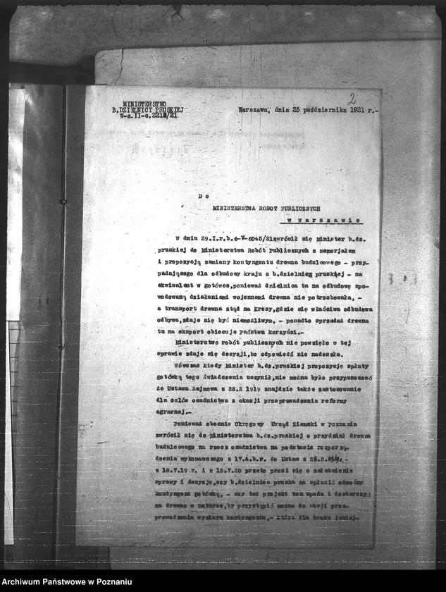 Obraz 5 z jednostki "Leśnictwo"