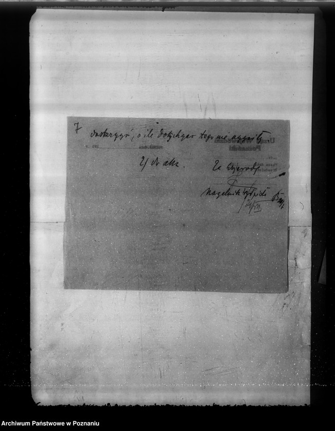 Obraz 11 z jednostki "Komisarze ochrony lasów"