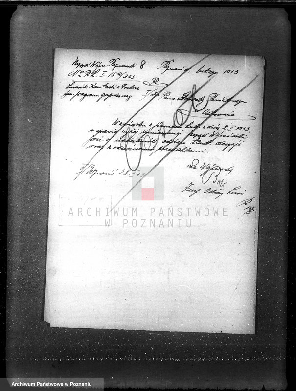 Obraz 11 z jednostki "Nadzór nad gospodarką w lasach L. Kanteckiego Kania powiat ostrowski"