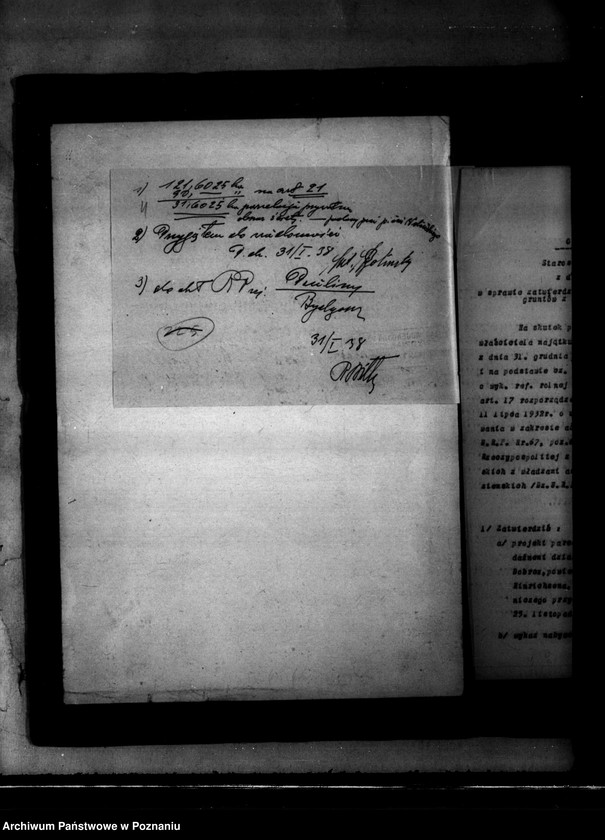 Obraz 8 z jednostki "Parcelacja prywatna części majątku Pauliny powiatu bydgoskiego"