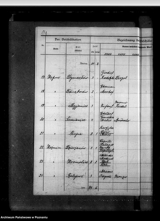 Obraz 18 z jednostki "Sprawy stadnin rozdział rządowych ogierów na stacjach"