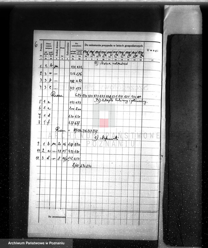 Obraz 10 z jednostki "Plan urządzenia gospodarstwa leśnego dla lasu Berty Stelter w Piotrowie powiat szamotulski 1930-1940"