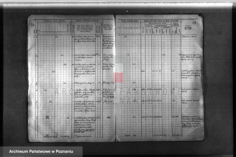 Obraz 20 z jednostki "Plan urządzenia gospodarstwa leśnego lasu majętności Łężeczki w powiecie międzychodzkim 1930-1939"