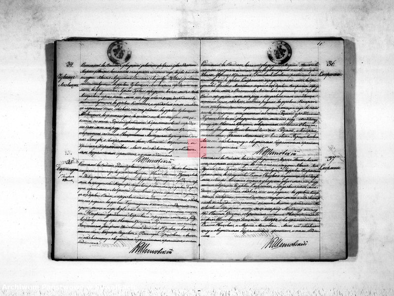 image.from.unit.number "Duplikat aktov rodivšichsja, umeršich i brakosočetavšichsja vejsejskogo rimsko-katoličeskogo prichoda na 1876 god"