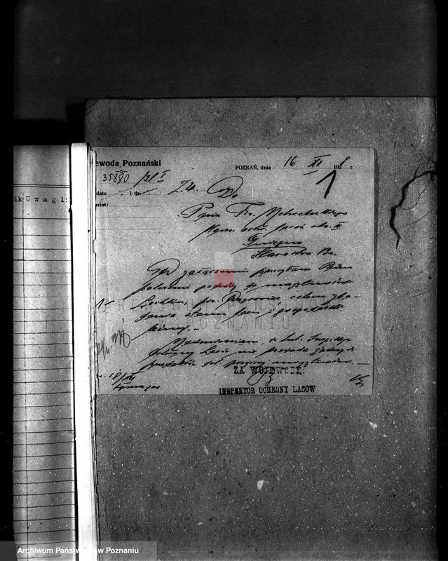 image.from.unit.number "Majętność leśna Lechlin powiat wągrowiecki"
