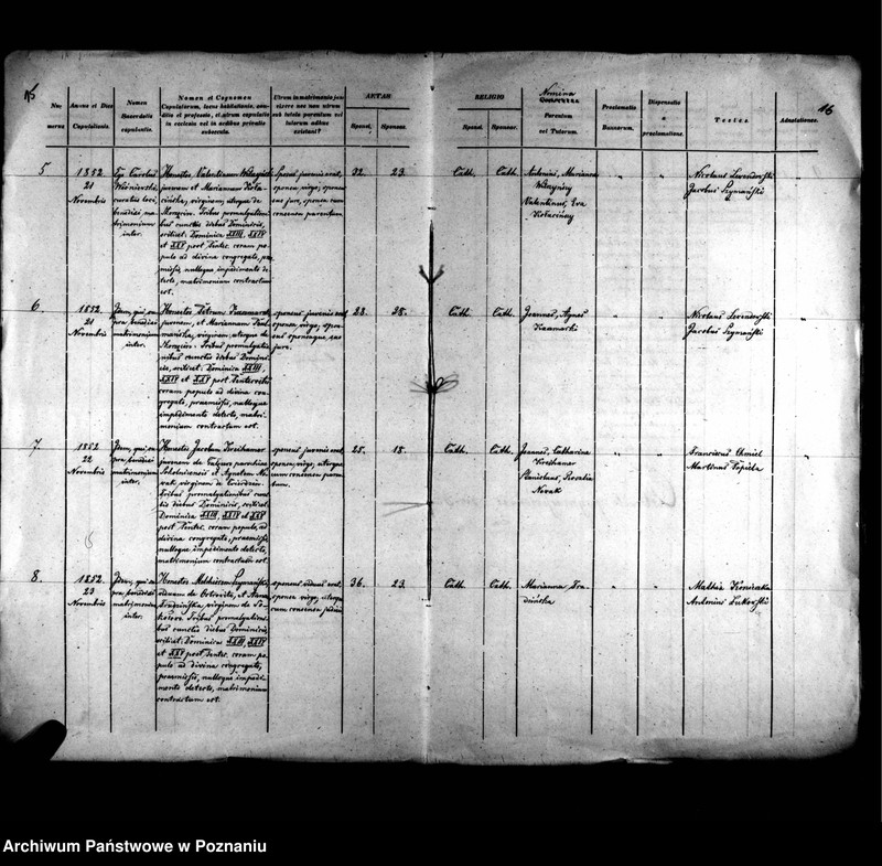 image.from.unit.number "Liber baptisatorum, copulatorum, mortuorum"