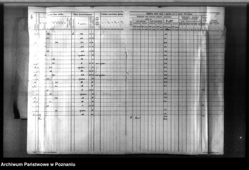 Obraz 7 z jednostki "Nadzór nad gospodarką w lasach majętności Nowy Dwór w powiecie nowotomyskim"