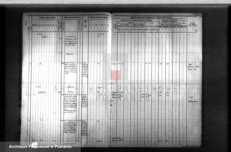 image.from.unit.number "Plan urządzenia gospodarstwa leśnego dla lasu majętności Rudki w powiecie szamotulskim 1929-1939"