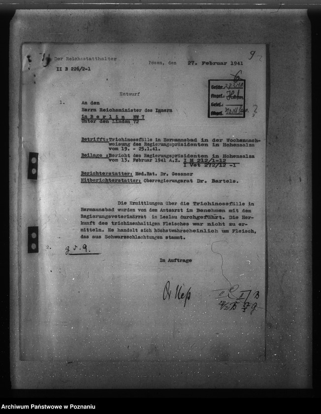 Obraz 13 z jednostki "Trichinose, Typhus"