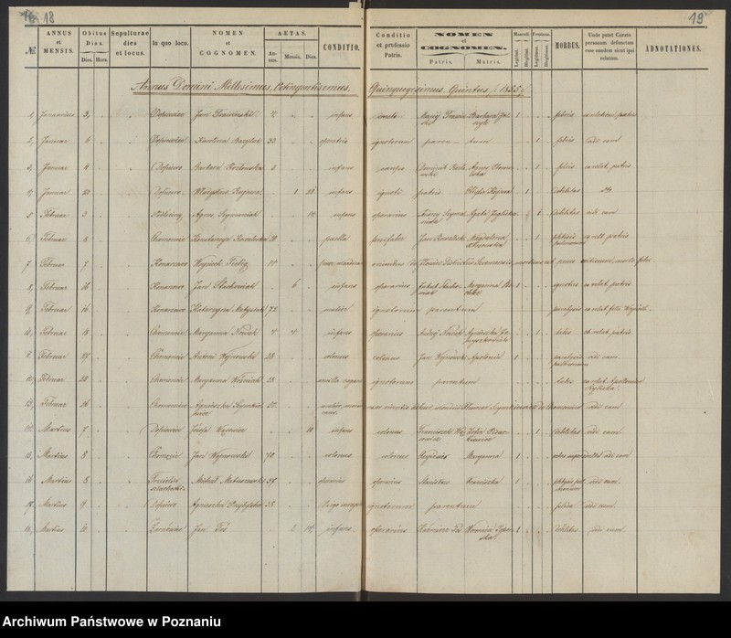 Obraz 13 z jednostki "Duplikat baptisatorum, copulatorum, mortuorum"