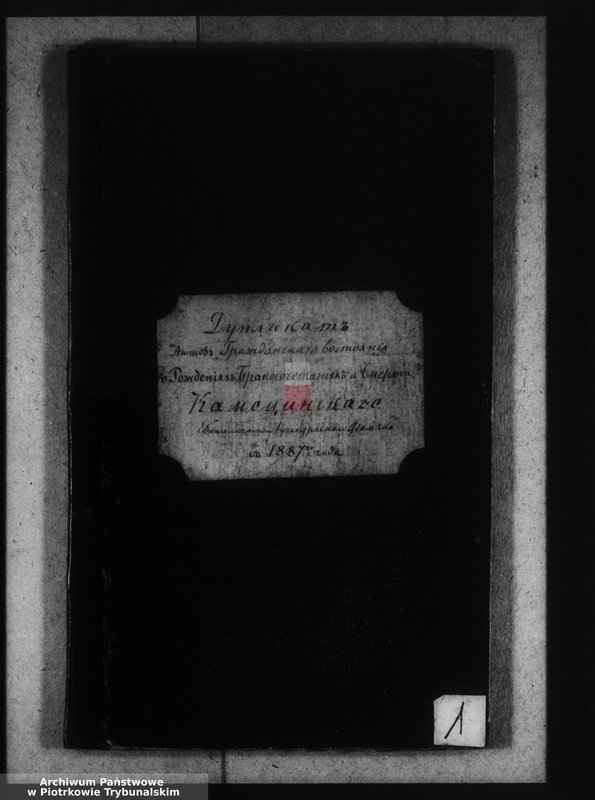 image.from.unit "[Księga duplikat aktów urodzonych, zaślubionych i zmarłych]"