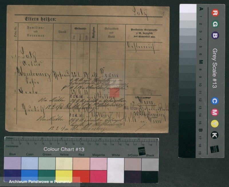 Obraz 5 z jednostki "Salc - Samolek"