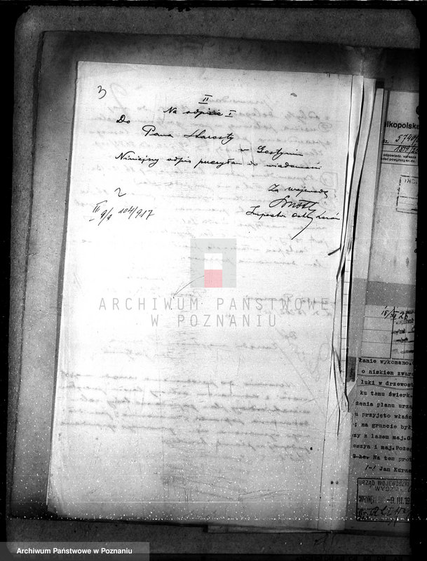 Obraz 7 z jednostki "Nadzór nad gospodarką w lasach majątku Dusina w powiecie gostyńskim"