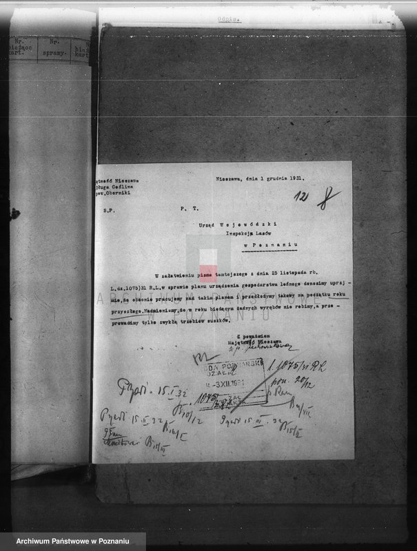 Obraz 16 z jednostki "Nadzór nad gospodarką w lasach majętności Nieszawa powiat obornicki"