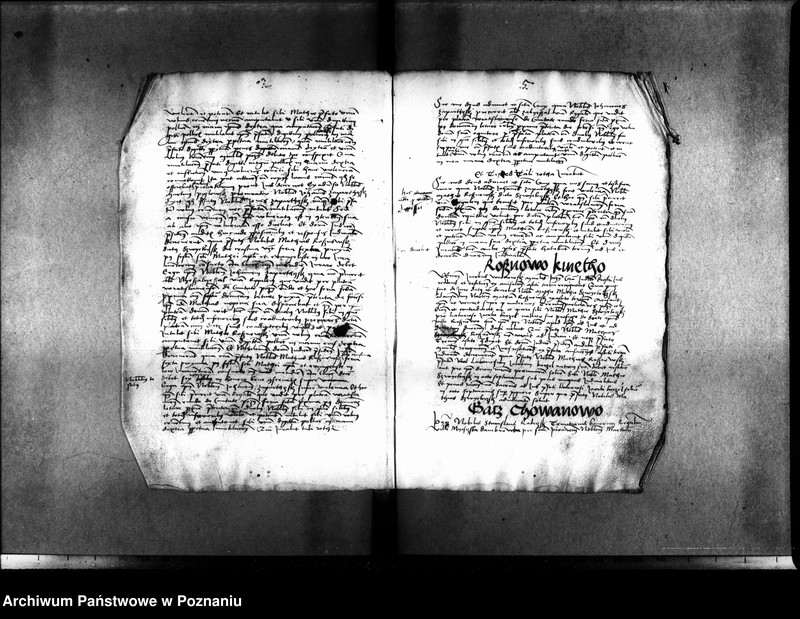 Obraz 12 z jednostki "Inscriptiones, relationes, decreta [inducta]"