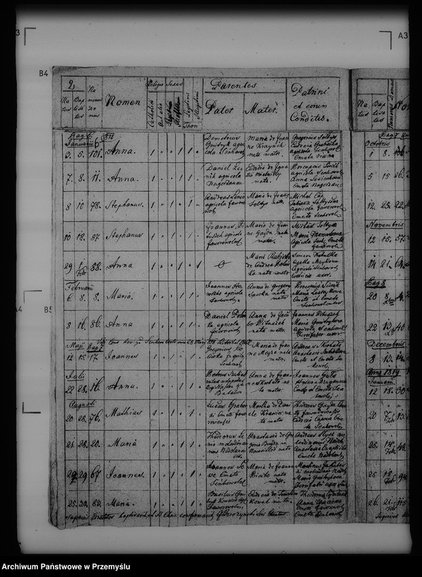 image.from.unit.number "[Kopie ksiąg metrykalnych parafii Seńkowa Wola (dekanat Buków)]"