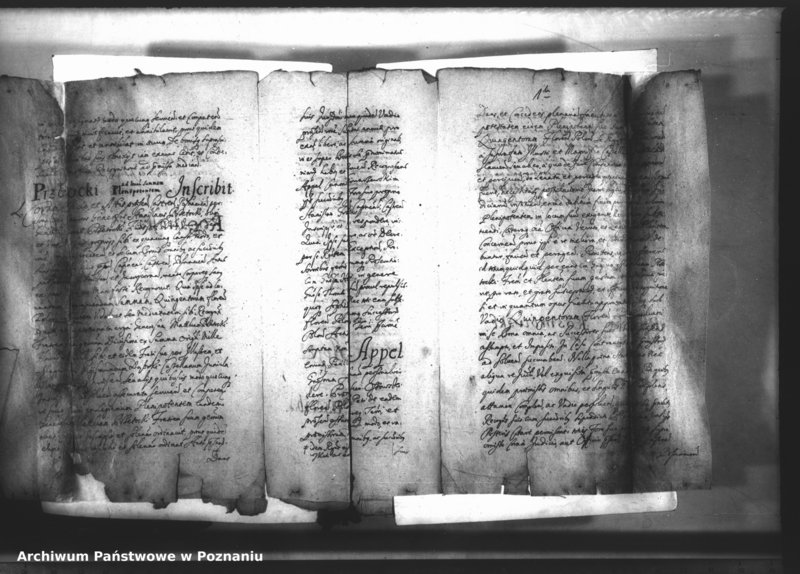 Obraz 4 z jednostki "Relationes [protocollon]"