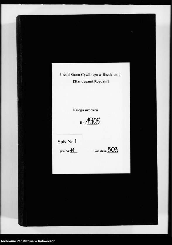 image.from.unit "Księga urodzeń nr 1-500"