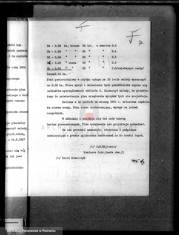 Obraz 12 z jednostki "Majętność leśna w Sarbii w powiecie czarnkowskim"