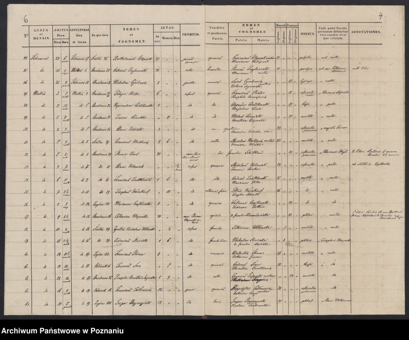 Obraz 6 z jednostki "Indeks zgonów"