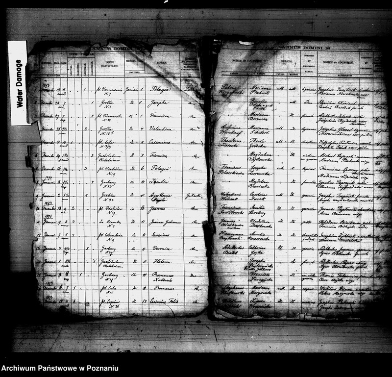 Obraz 2 z jednostki "Księga urodzin"