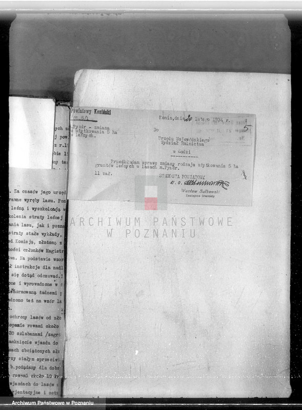 Obraz 9 z jednostki "Sprawa zmiany wydzielenia około 1300 ha gruntów leśnych w lasach miasta Pyzdry ewentualnie z przymusową likwidacją serwitutów wsi Holendry Pyzderskie"