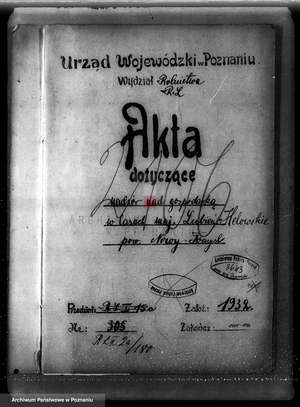 Obraz 4 z jednostki "/Nadzór nad gospodarką w lasach majątku Lubień-Helowskie w powiecie nowotomyskim"