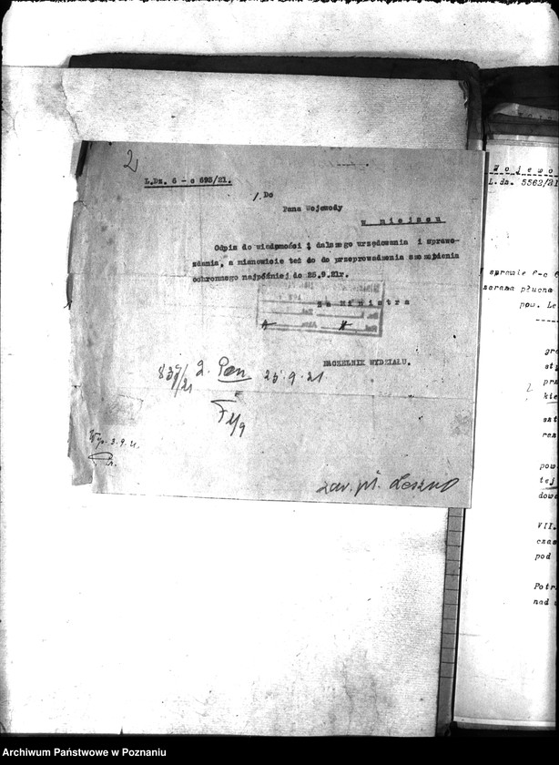 Obraz 6 z jednostki "Zaraza płucna - Leszno"