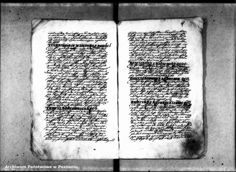 Obraz 9 z jednostki "Inscriptiones [inducta]"