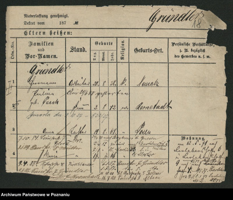 Obraz 20 z jednostki "Grindeman - Grobelny"