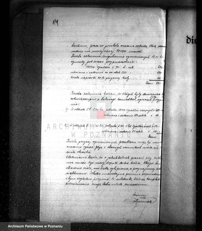 Obraz 19 z jednostki "Drzewostan na majątku państwowym Chwałkowo powiat średzki"