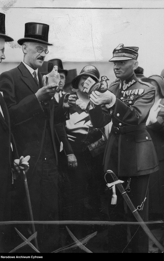 image.from.unit.number "Międzynarodowa Wystawa Komunikacji i Turystyki w Poznaniu"