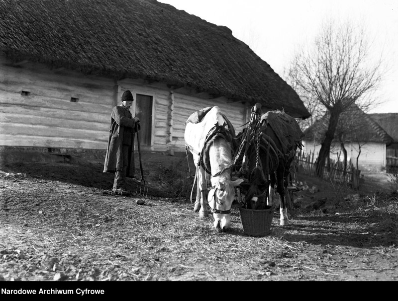 Obraz 2 z jednostki "Mieszkańcy Bronowic Małych"