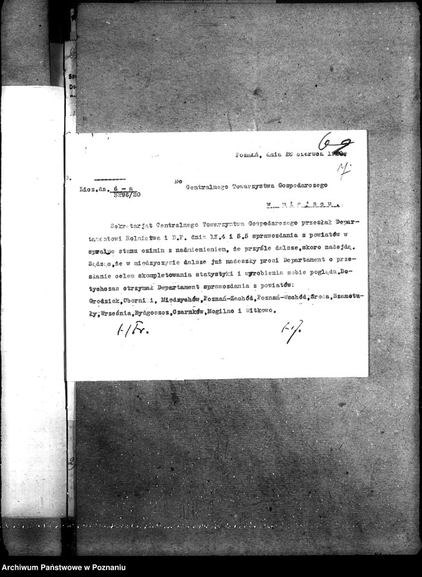 Obraz 11 z jednostki "Ziemiopłody - generalia"