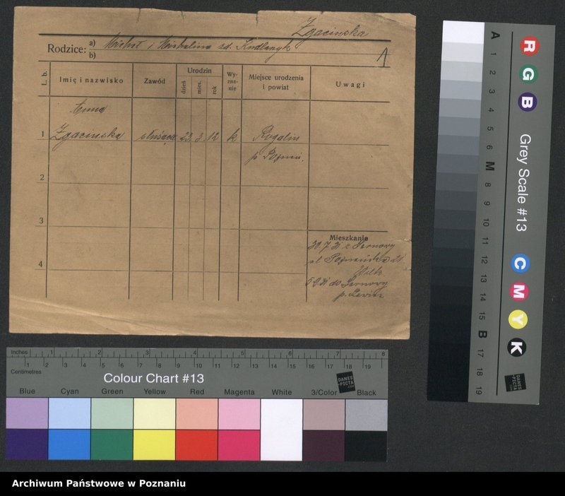Obraz 3 z jednostki "Zgacinska - Zitzewitz"