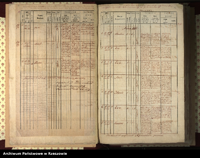 Obraz 11 z jednostki "Księga urodzeń, małżeństw i zgonów dla miejscowości Świątkowa Wielka, Świątkowa Mała (Świątkówka), Świerzowa (Świerzowa Ruska)"